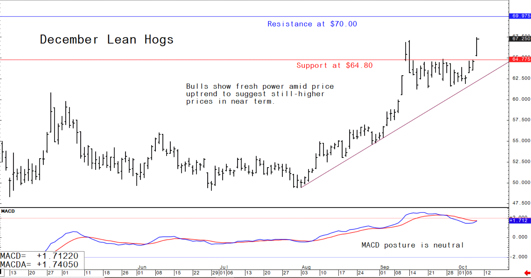 Graph showing the trajectory of US lean hog futures