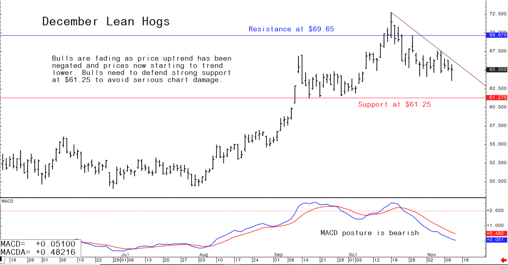 Graph showing the weekly trade in December US lean hog futures