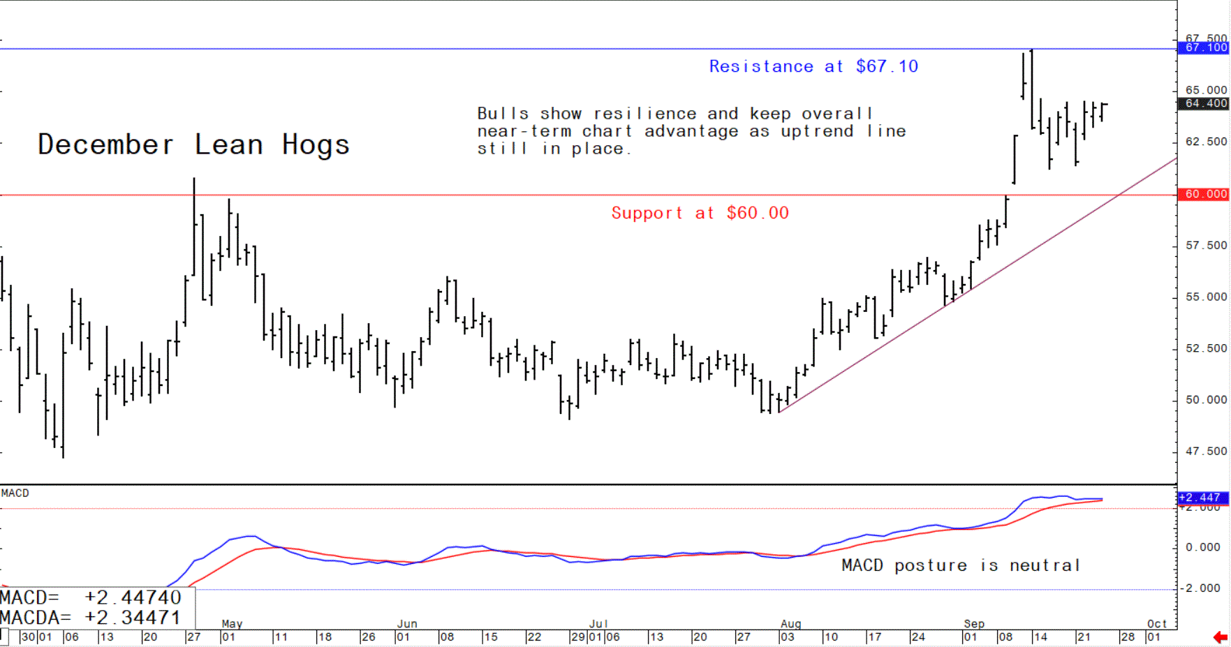 Trading graph showing December lean hog futures