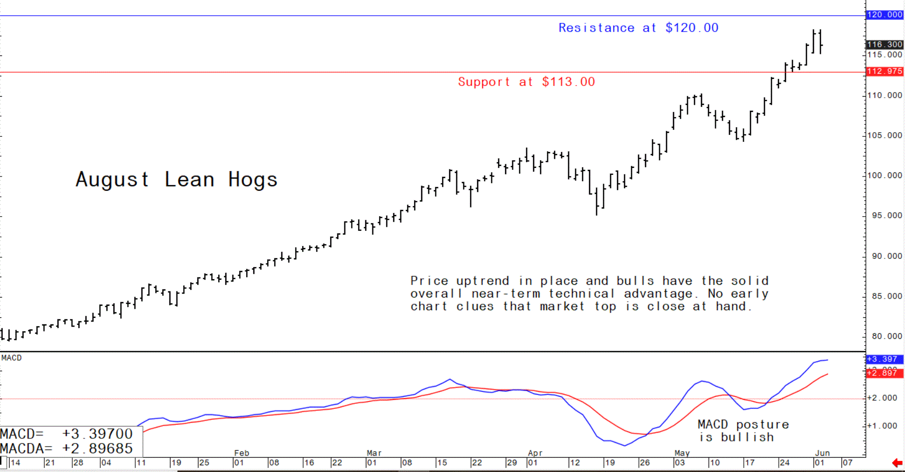 Chart showing the trading trajectory of August US lean hog futures