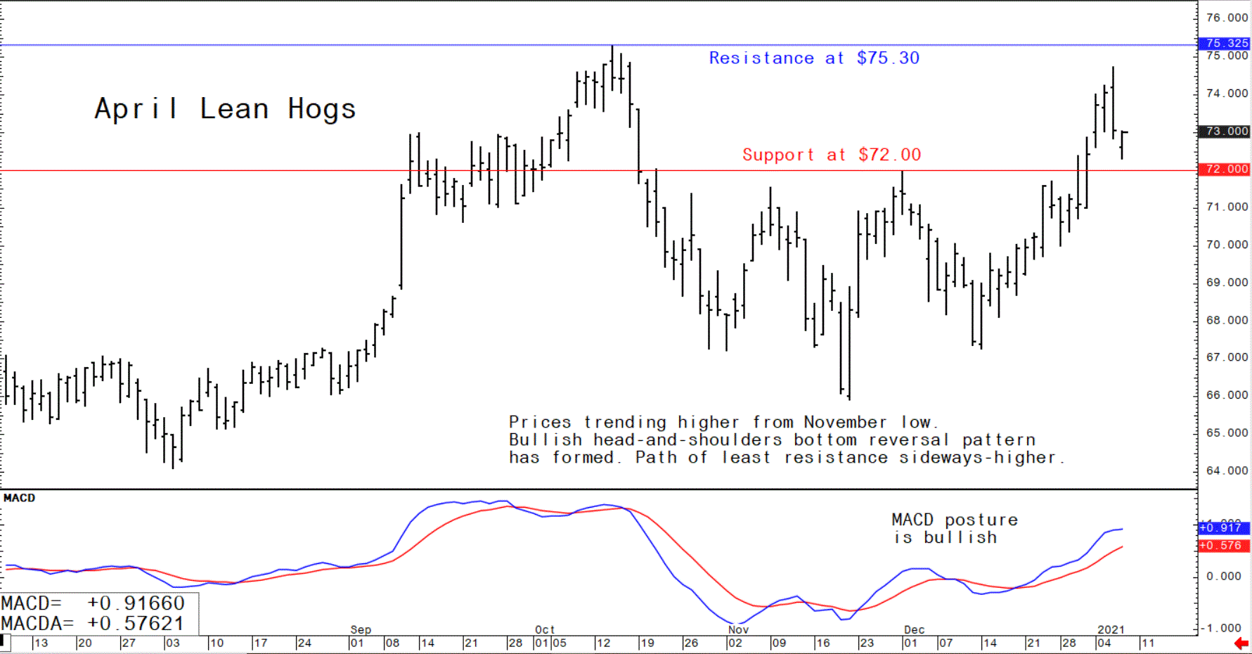 Graph showing the trade of US April lean hog futures