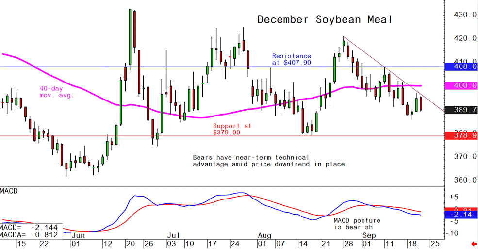 Pig Outlook: Lean Hog Futures Bulls Keeping Price Uptrend Alive | The ...