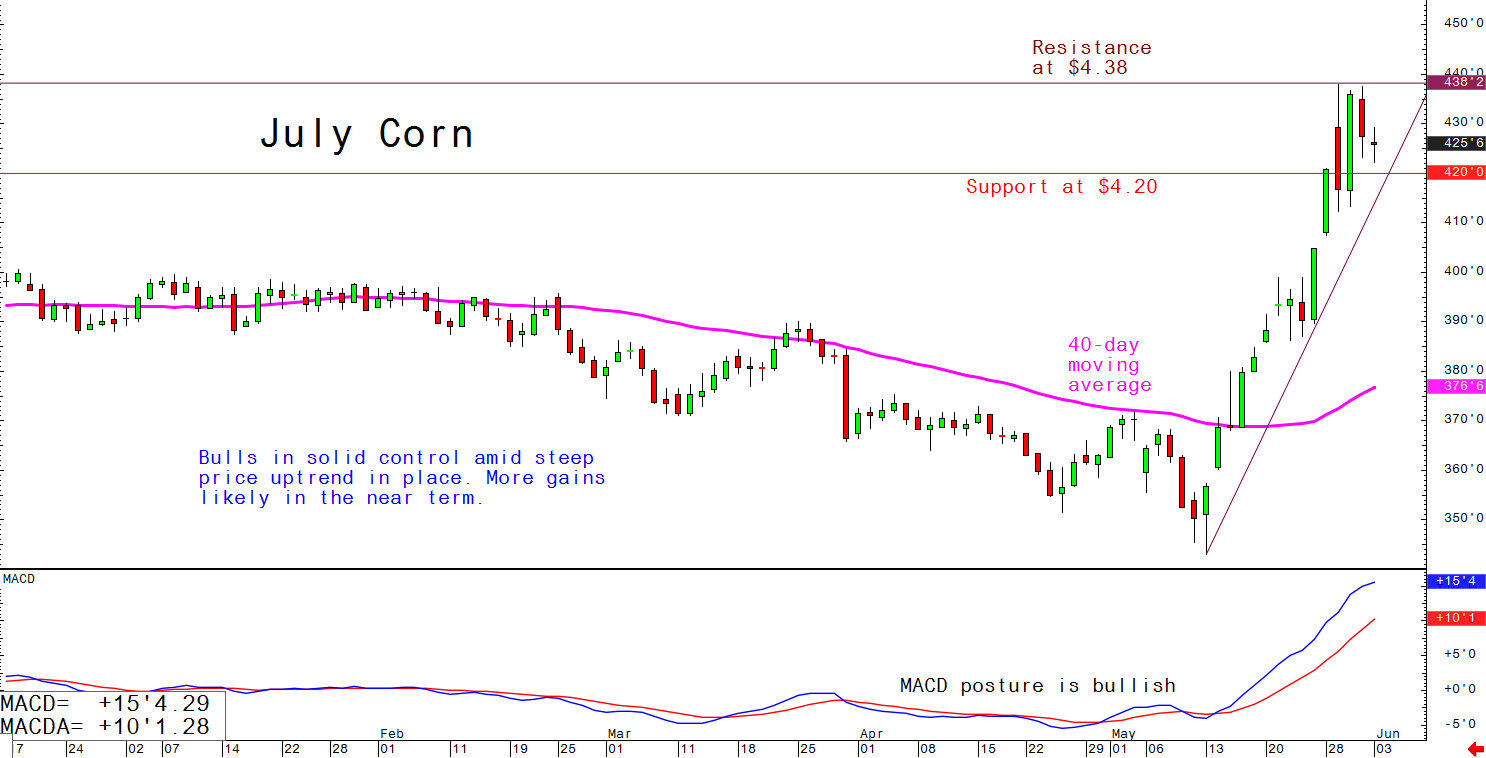 July corn