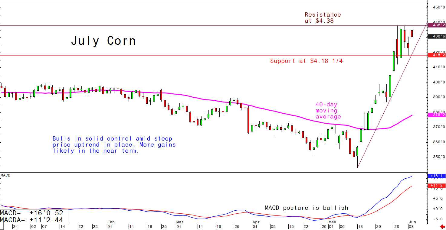 Corn markets corrected Monday's gains, but were still up from previous levels