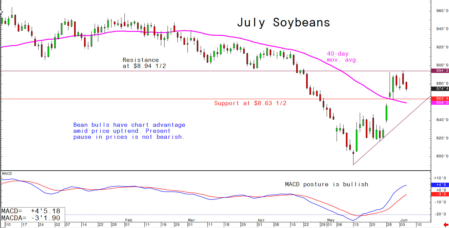 Bean bulls have an advantage as the price is on an upward trend
