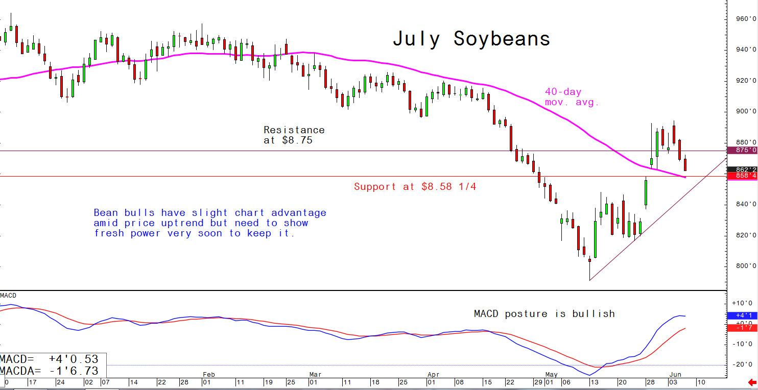 Bean bulls have a slight chart advantage amid the price uptrend