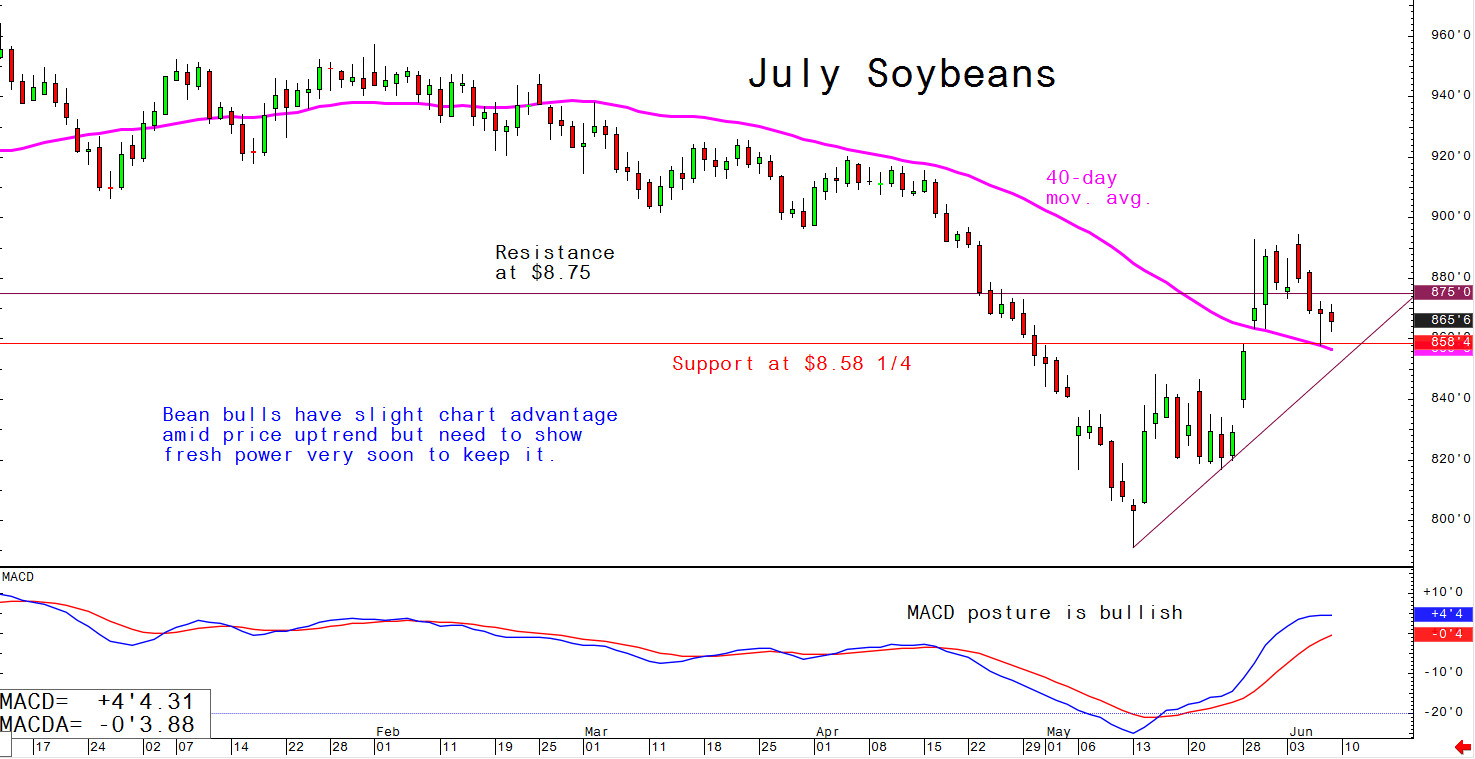 Bean bulls have slight chart advantage amid price uptrend but need to show fresh power very soon to keep it.