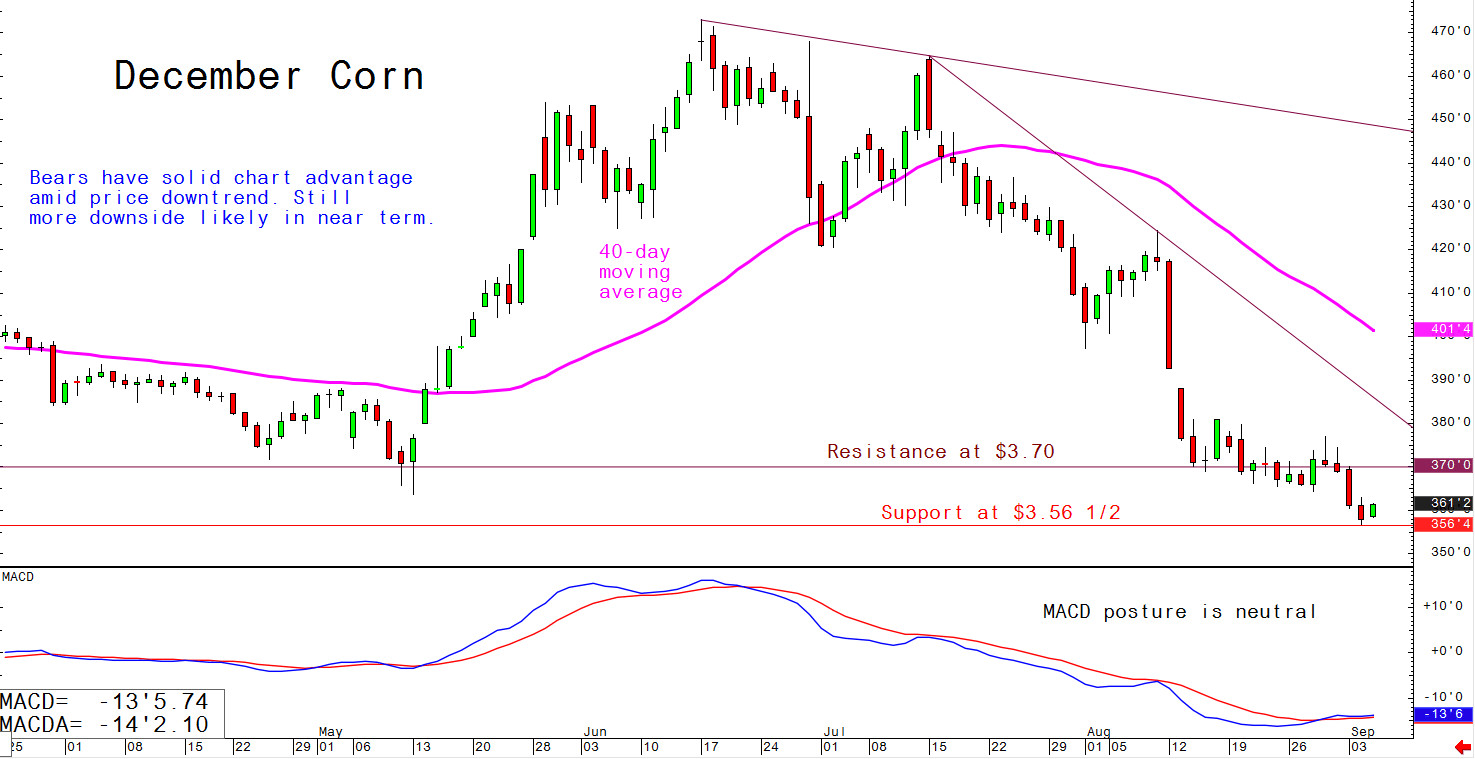 Bears have solid chart advantage amid price downtrend. Still more downside likely in the near term