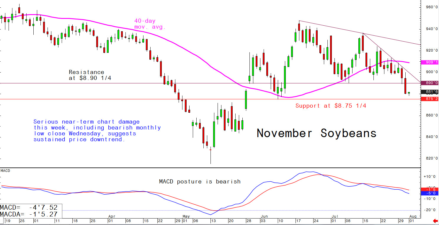 Serious near-term chart damage this week, including bearish monthly low close Wednesday, suggests sustained price downtrend