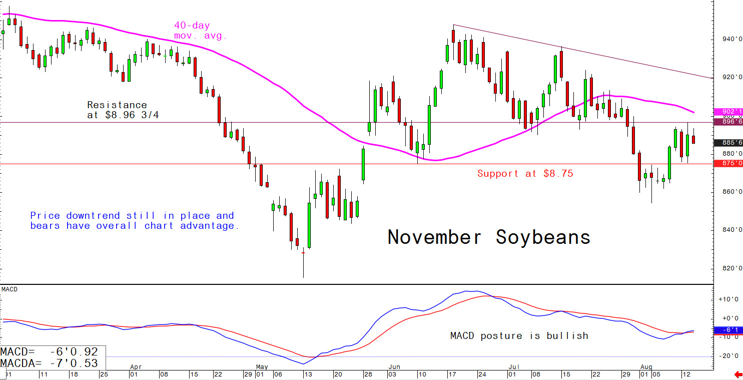 Price downtrend still in place and bears have overall chart advantage