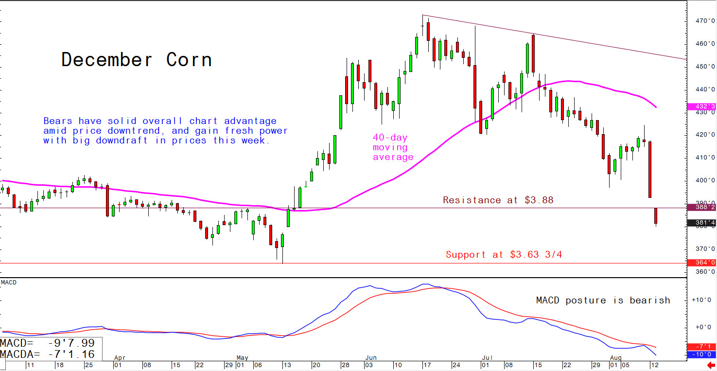 Bears have solid overall chart advantage amid price downtrend, and gain fresh power with big downdraft in prices this week