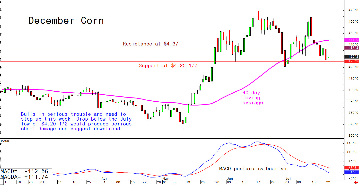 Bulls in serious trouble and need to step up this week. Drop below the July low of $4.20 1/2 would produce serious chart damage and suggest downtrend