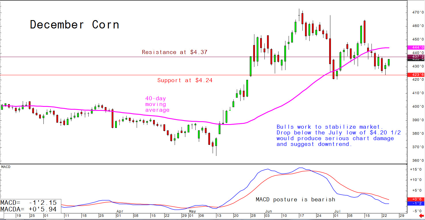 Bulls work to stabilise market. Drop below the July low of $4.20 1/2 would produce serious chart damage and suggest downtrend