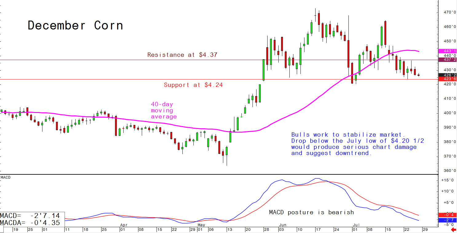 Bulls work to stabilise market. Drop below the July low of $4.20 1/2 would produce serious chart damage and suggest downtrend