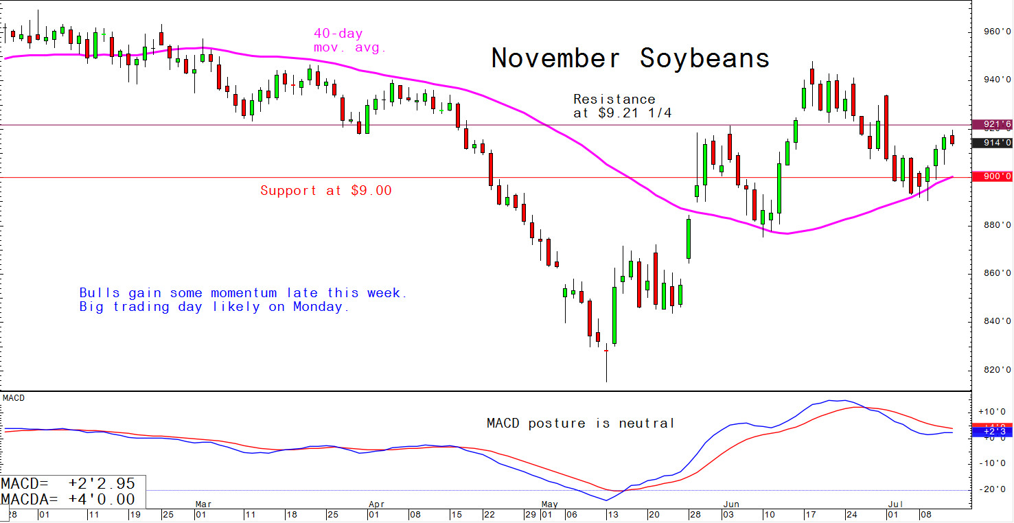 Bulls gain some momentum late this week. Big trading day likely on Monday.