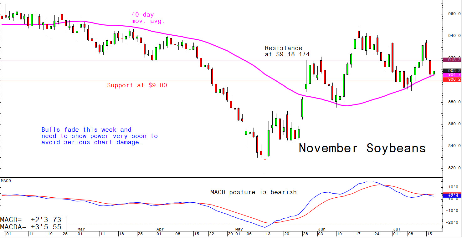 Bulls fade this week and need to show power very soon to avoid serious chart damage