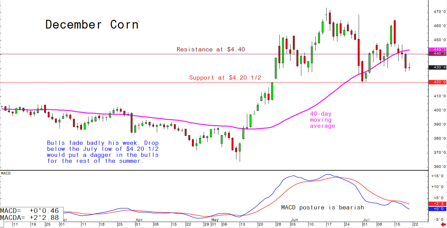 Bulls fade badly this week. Drop below the July low of $4.20 1/2 would put a dagger in the bulls for the rest of the summer