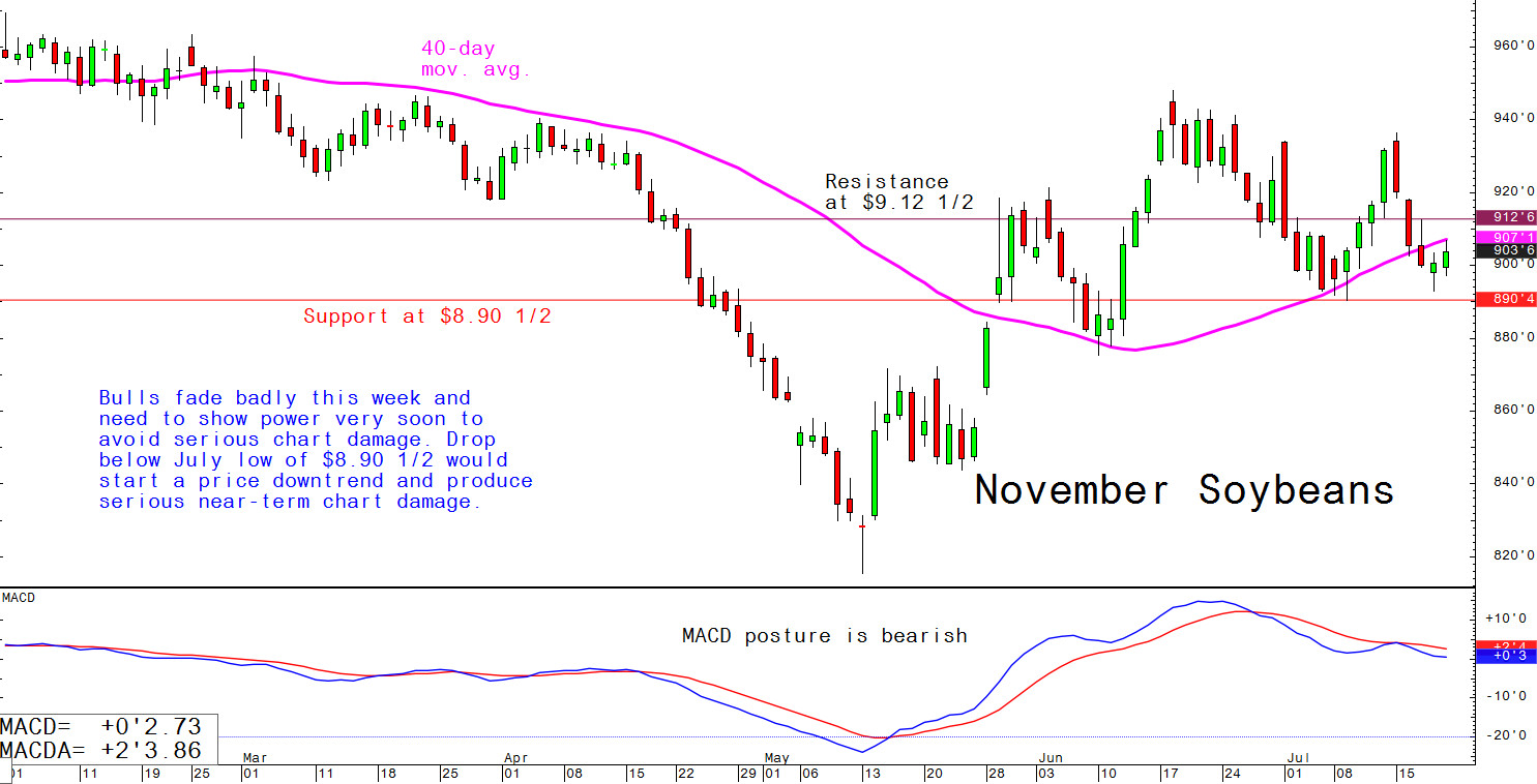 Bulls fade badly this week and need to show power very soon to avoid serious chart damage