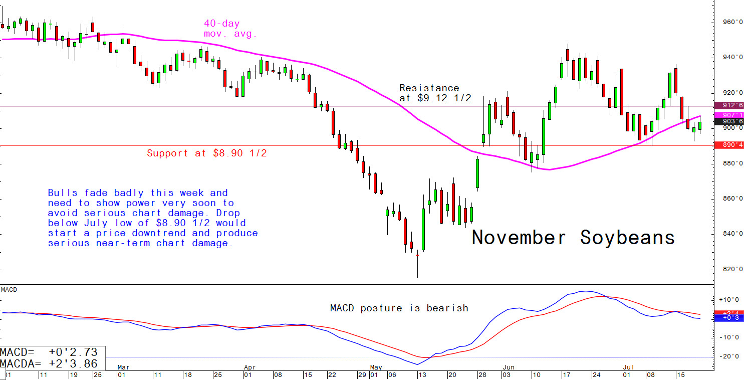 Bulls fade badly this week and need to show power very soon to avoid serious chart damage Drop below July low of $8.90 1/2 would start a price downtrend and produce serious near-term chart damage