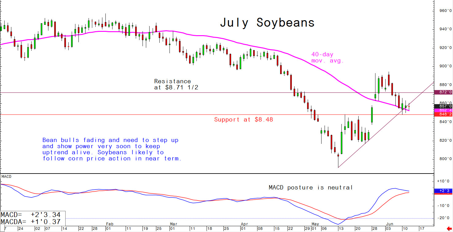 July soybeans