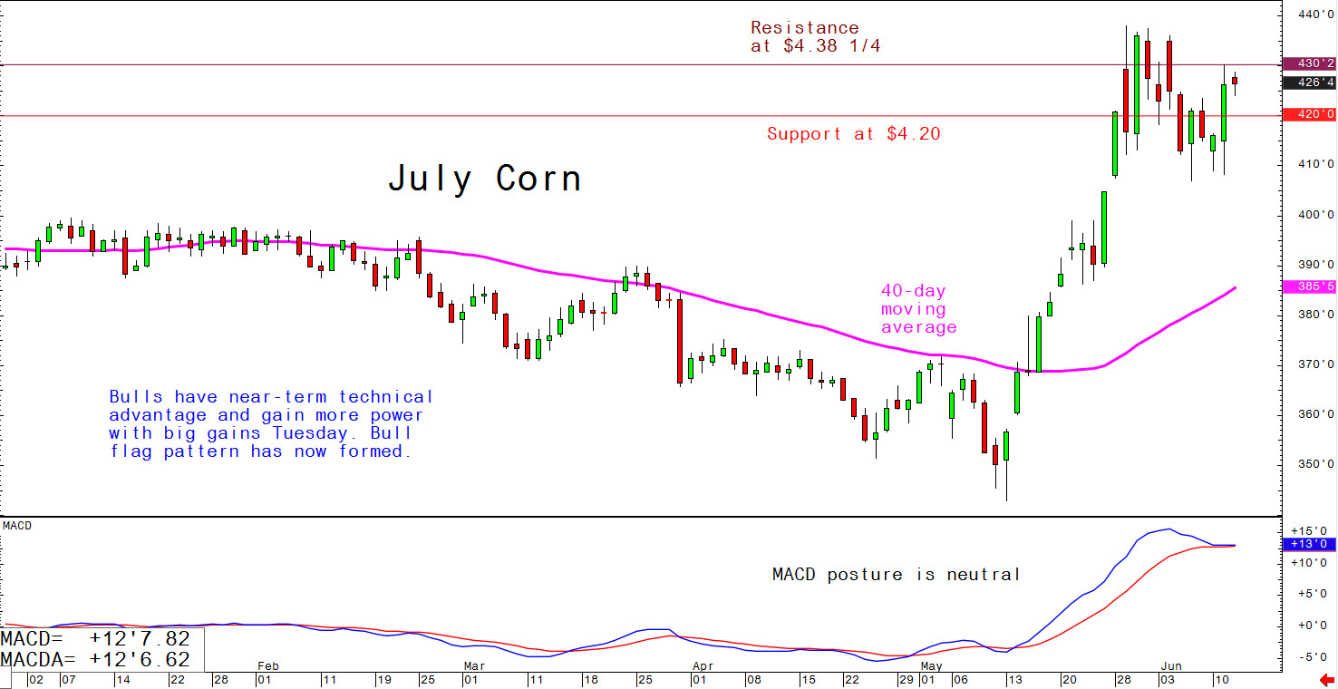 July corn