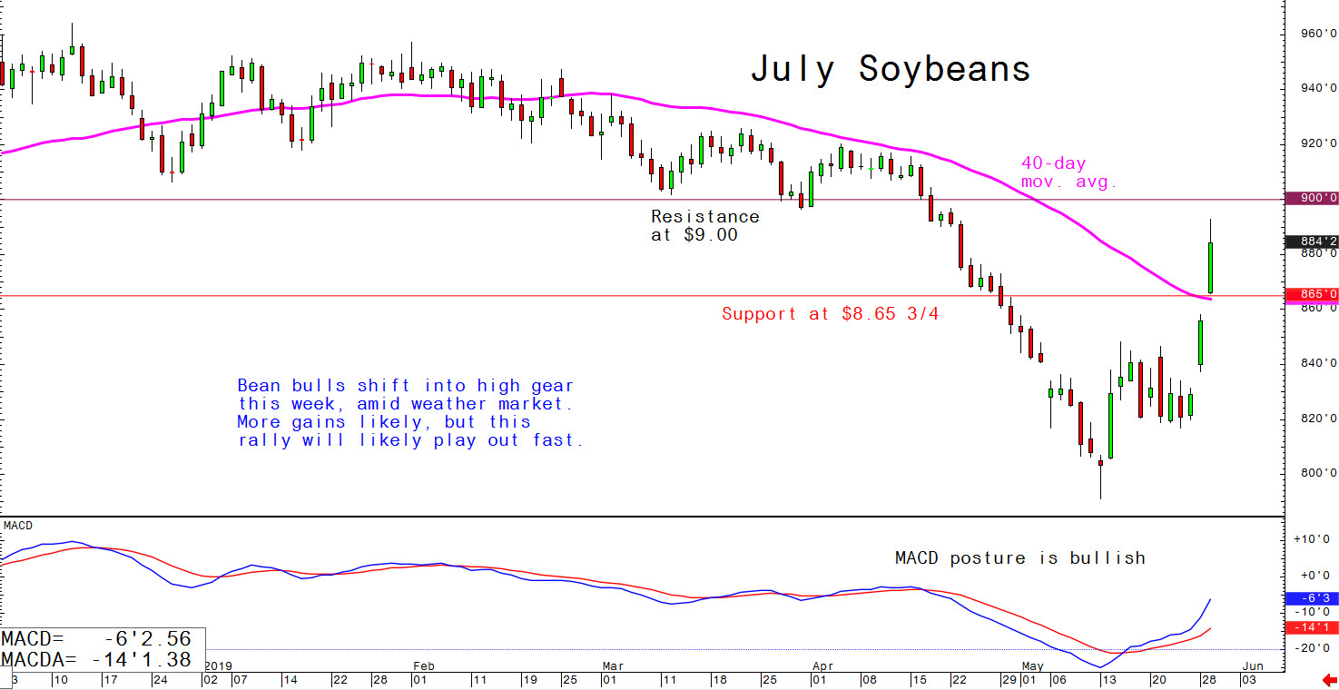 Bean bulls shift into high gear this week, amid weather market. More gains likely, but this rally will likely play out fast