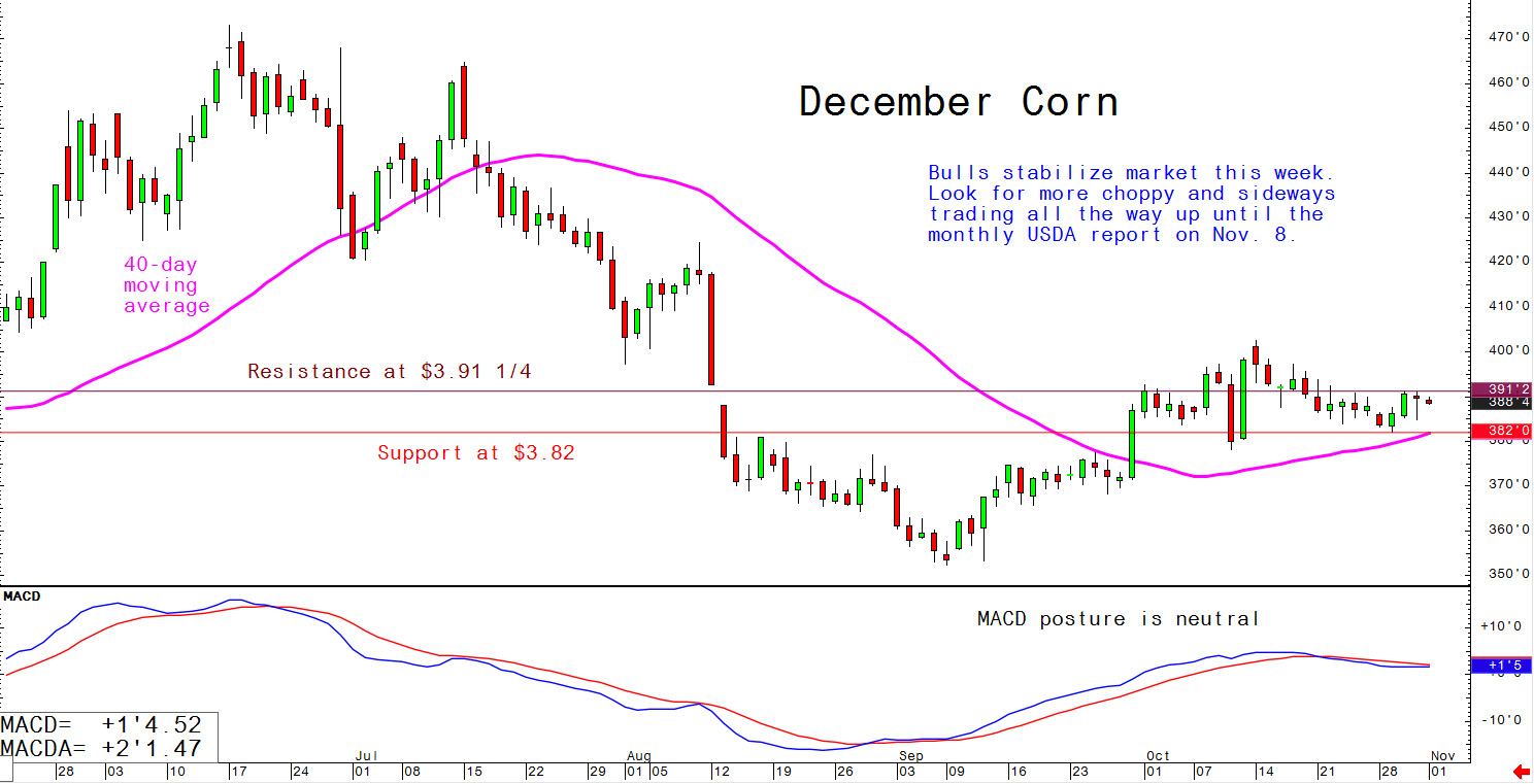 Bulls stabilise market this week. Look for more choppy and sideways trading all the way up until the monthly USDA report on 8 November