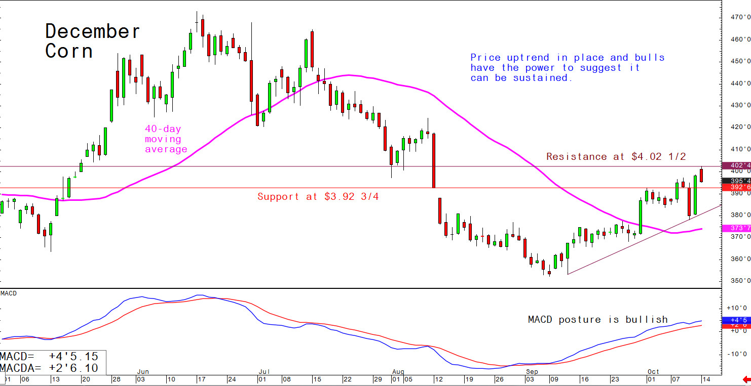 Price uptrend in place and bulls have the power to suggest it can be sustained