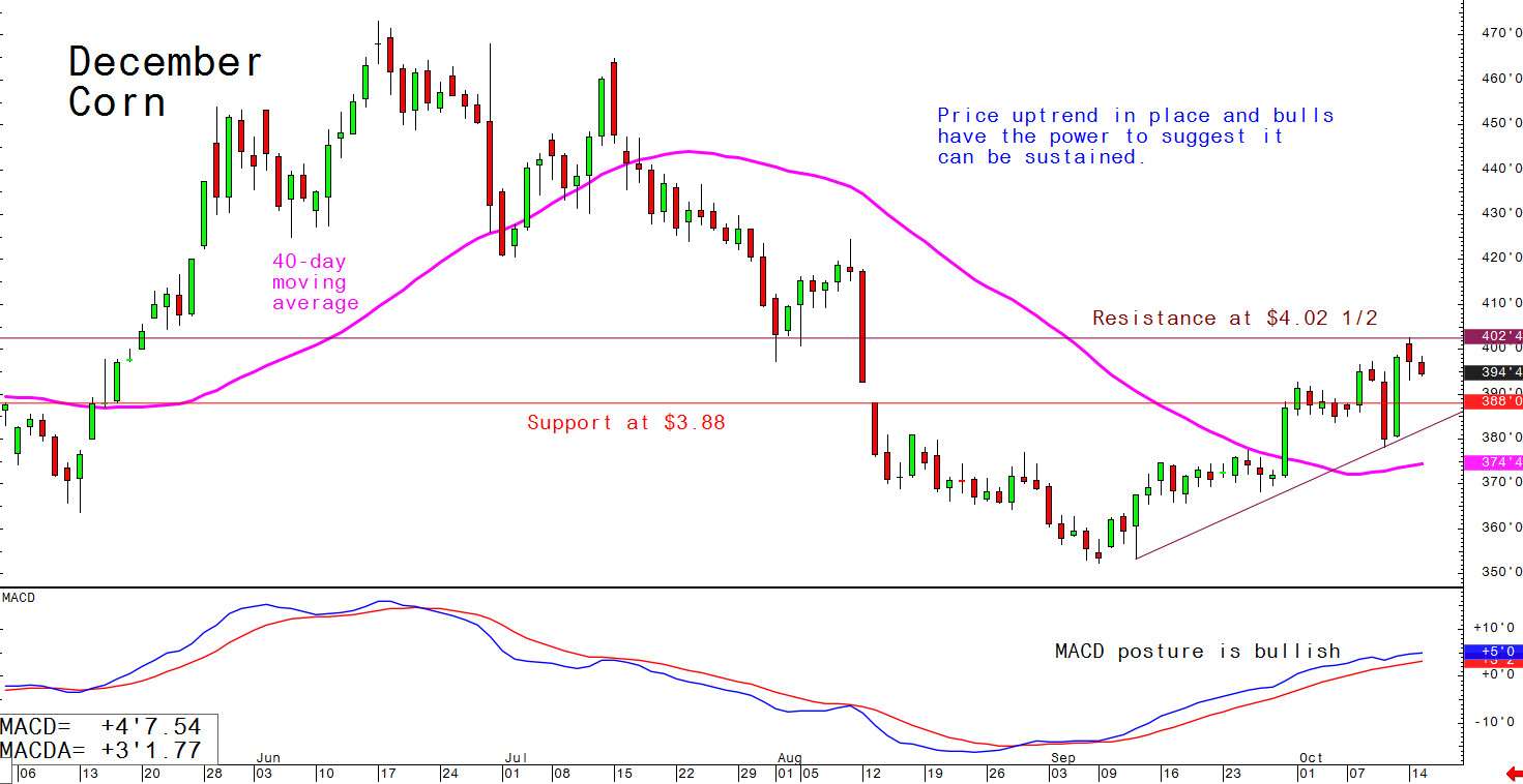 Price uptrend in place and bulls have the power to suggest it can be sustained