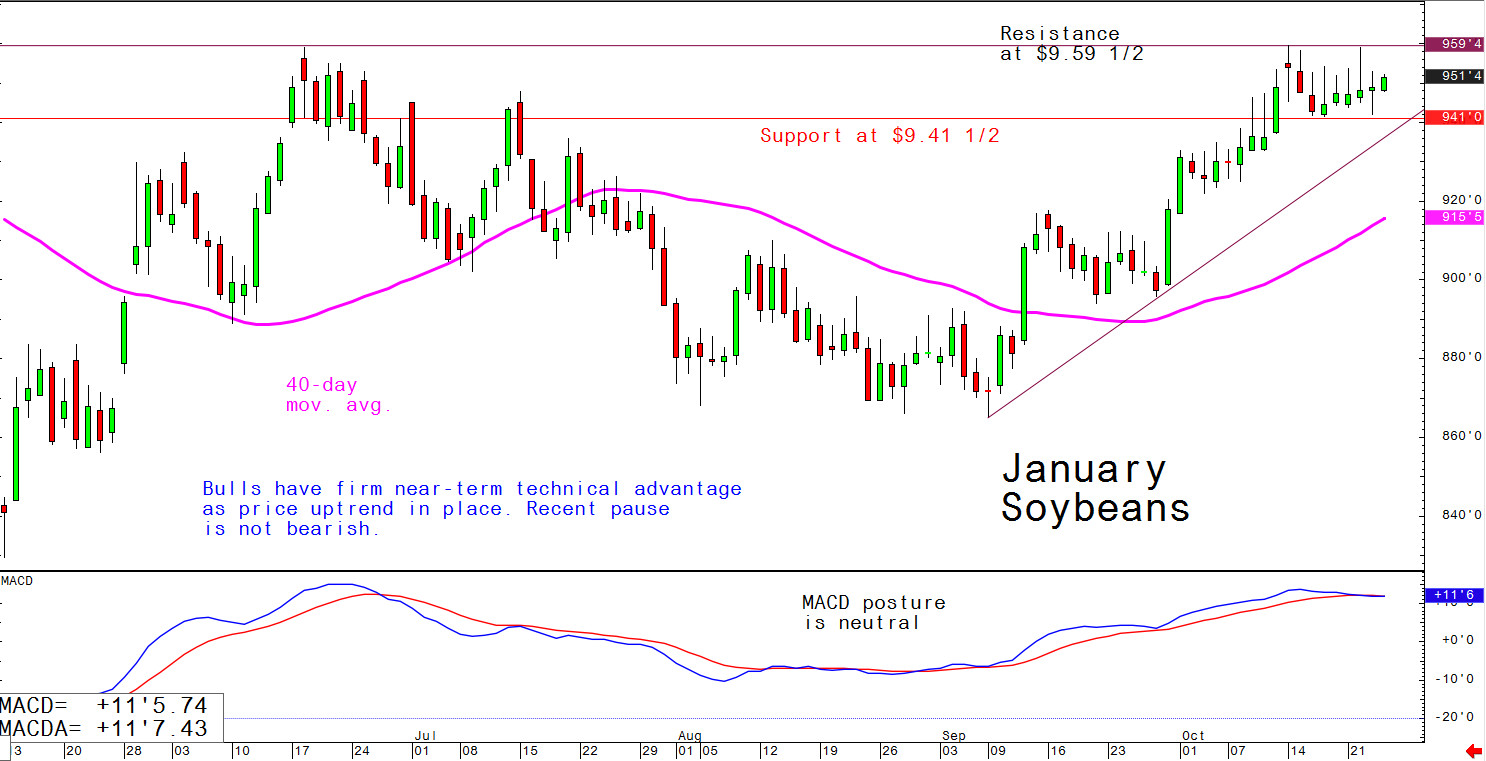 Bulls have firm near-term technical advantage as price uptrend in place. Recent pause is not bearish