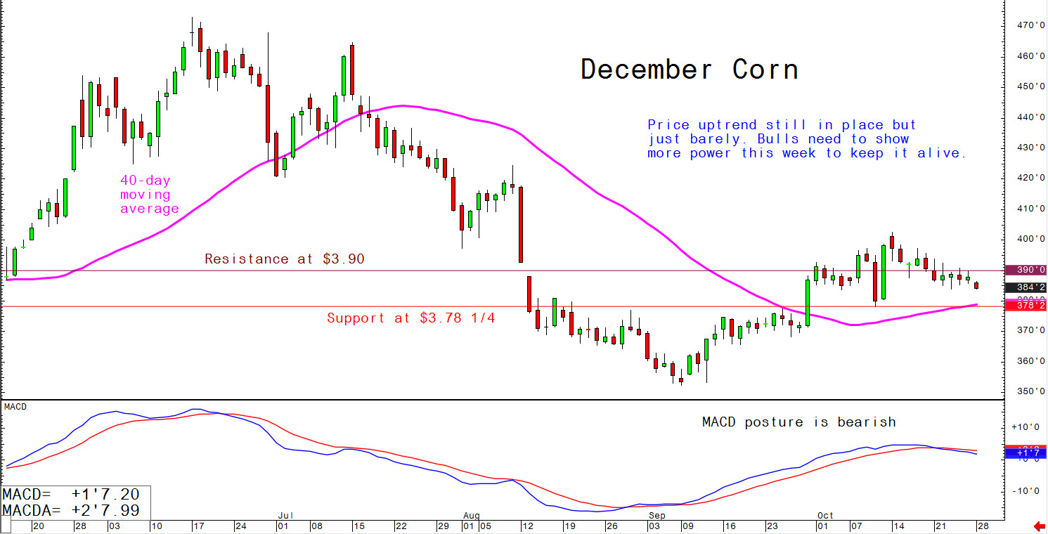 Price uptrend still in place but just barely. Bulls need to show more power this week to keep it alive