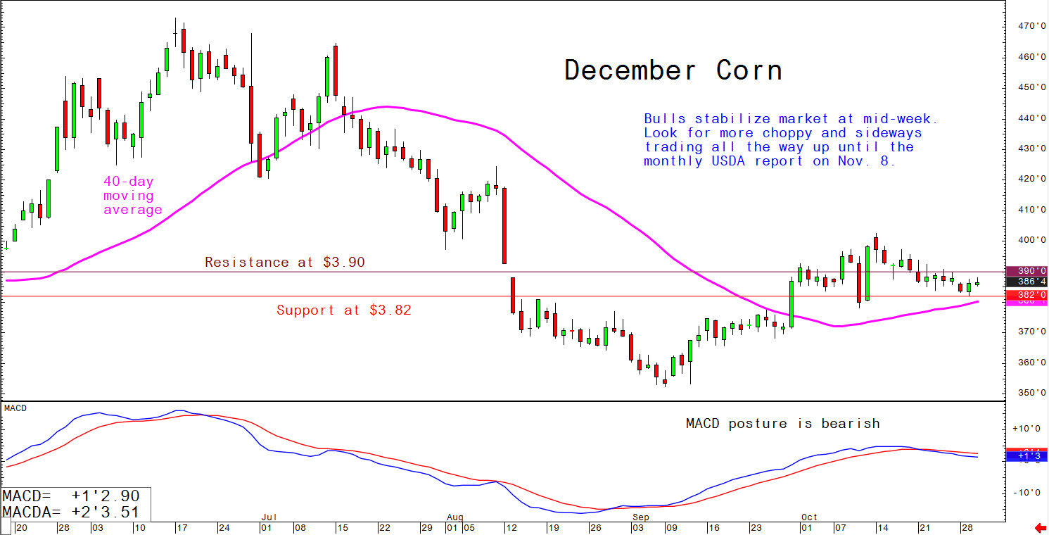 Bull stabilise market at mid-week. Look for more choppy and sideways trading all the way up until the monthly USDA report on 8 November