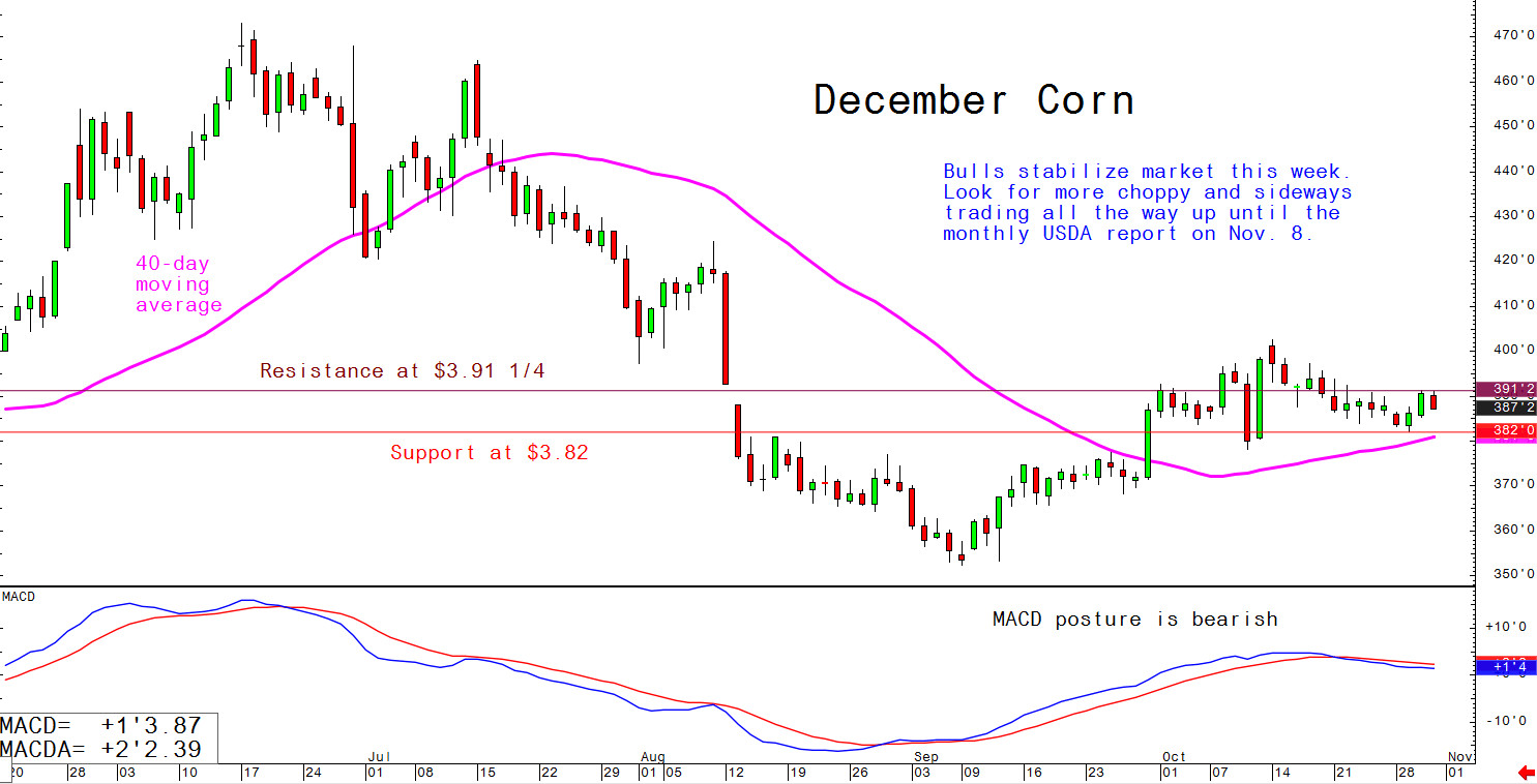 Bulls stabilise market this week. Look for more choppy and sideways trading all the way up until the monthly USDA report on 8 November