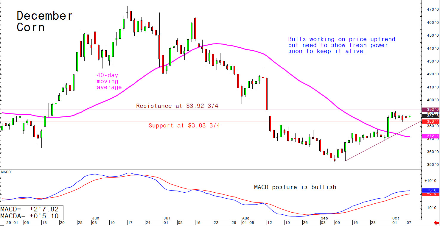 Bulls working on price uptrend but need to show fresh power soon to keep it alive