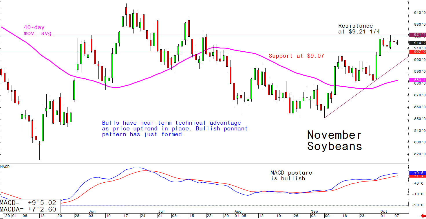 Bulls have near-term technical advantage as price uptrend in place. Bullish pennant pattern has just formed