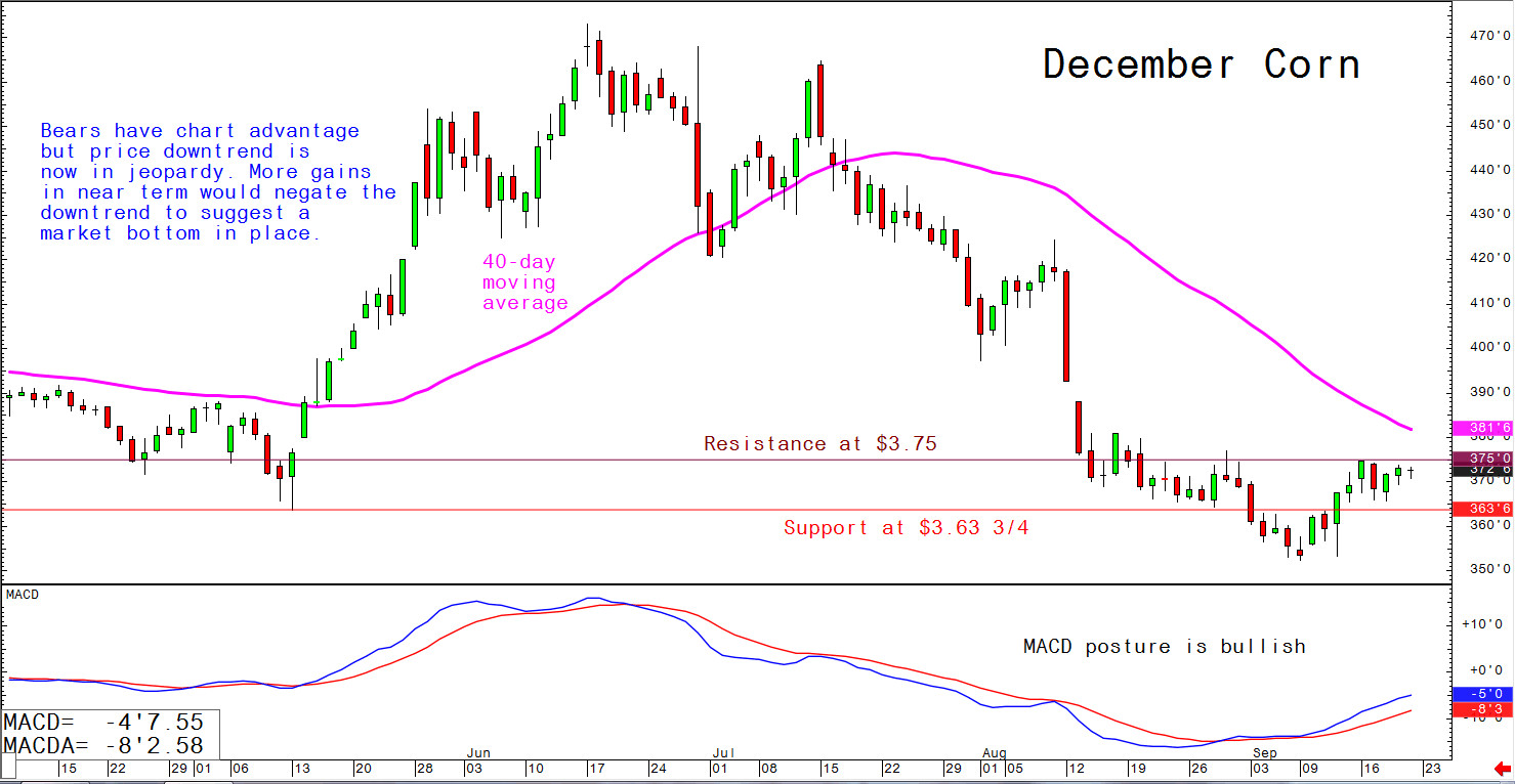 Bears have chart advantage but price downtrend is now in jeopardy. More gains in near term would negate the downtrend to suggest a market bottom in place