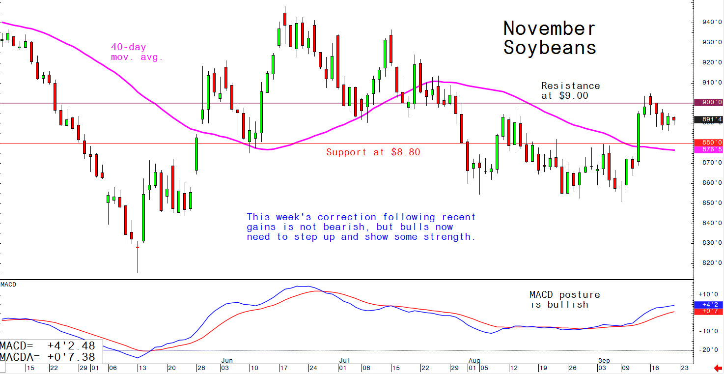 This week's correction following recent gains is not bearish, but bulls now need to step up and show some strength