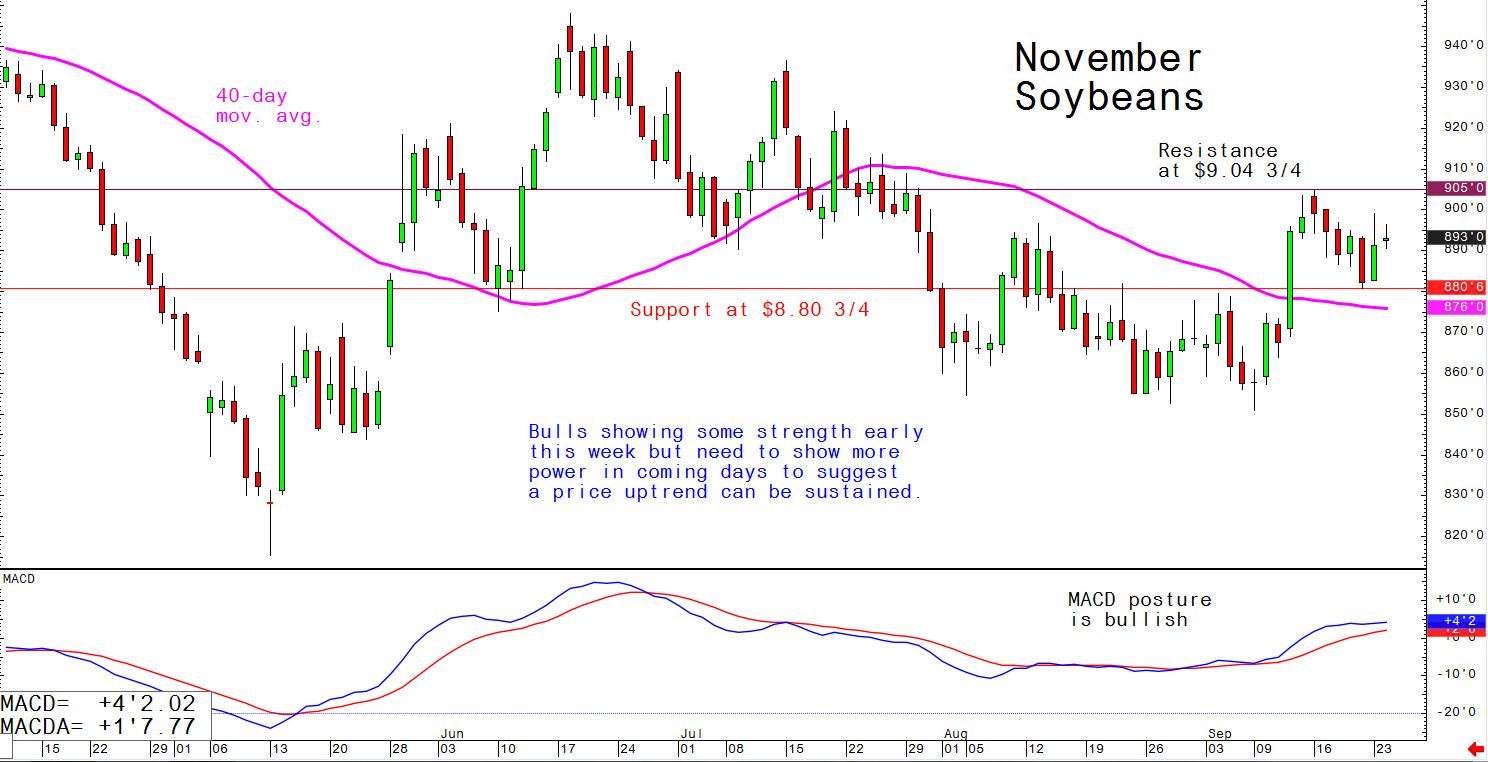 Bulls showing some strength early this week but need to show more power in coming days to suggest a price uptrend can be sustained