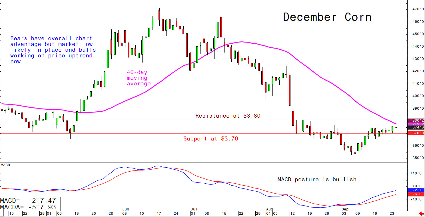 Bears have overall chart advantage but market low likely in place and bulls working on price uptrend now