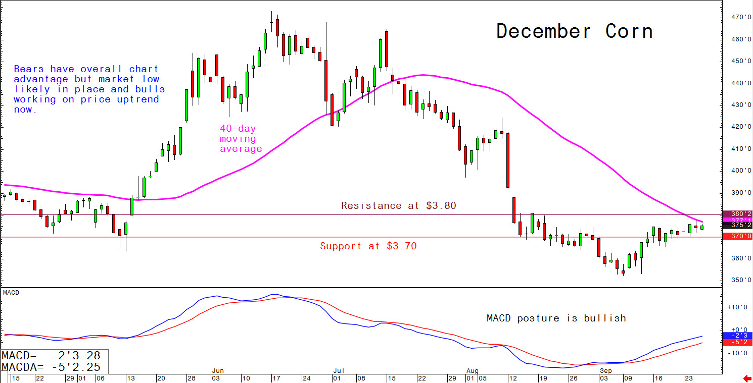 Bears have overall chart advantage but market low likely in place and bulls working on price uptrend now