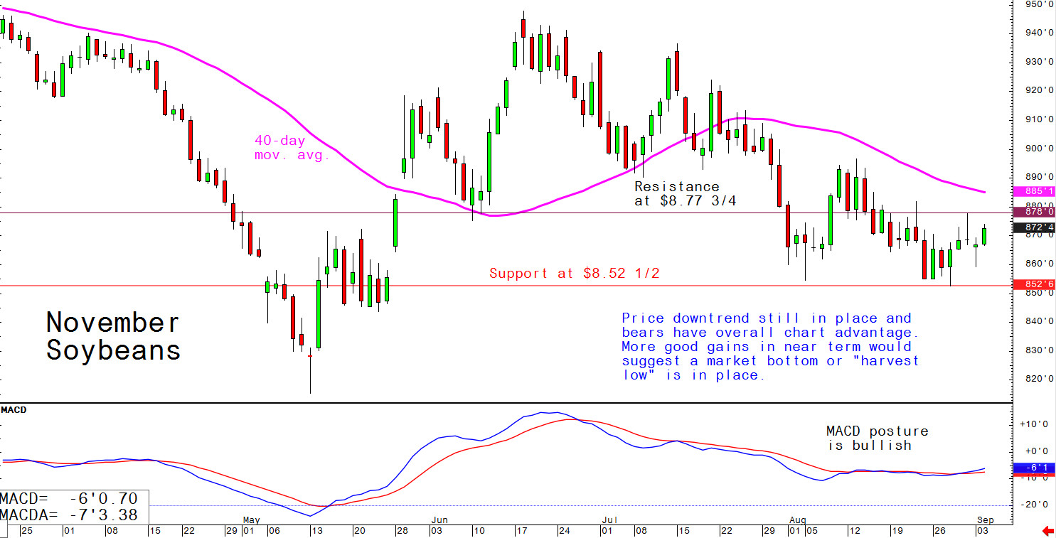 Price downtrend still in place and bears have overall chart advantage. More good gains in near term would suggest a market bottom or "harvest low" is in place