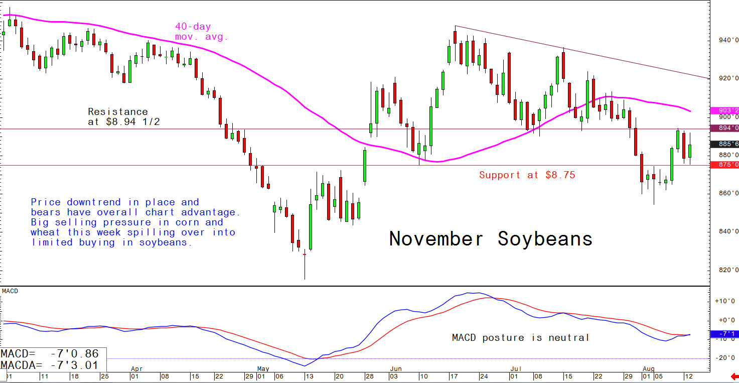 Price downtrend in place and bears have overall chart advantage. Big selling pressure in corn and wheat this week spilling over into limited buying in soybeans