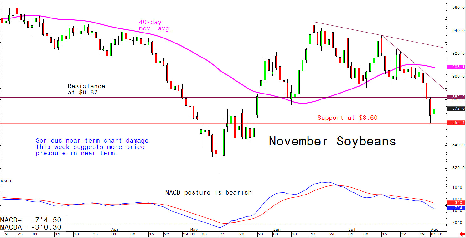 soybean market outlook in North America