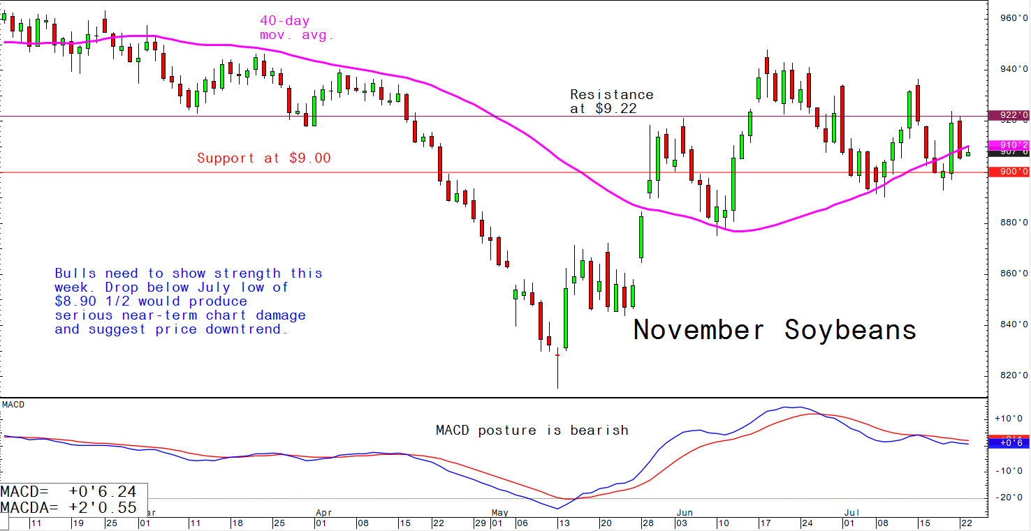 Bulls need to show strength this week. Drop below July low of $8.90 1/2 would produce serious near-term chart damage and suggest price downtrend