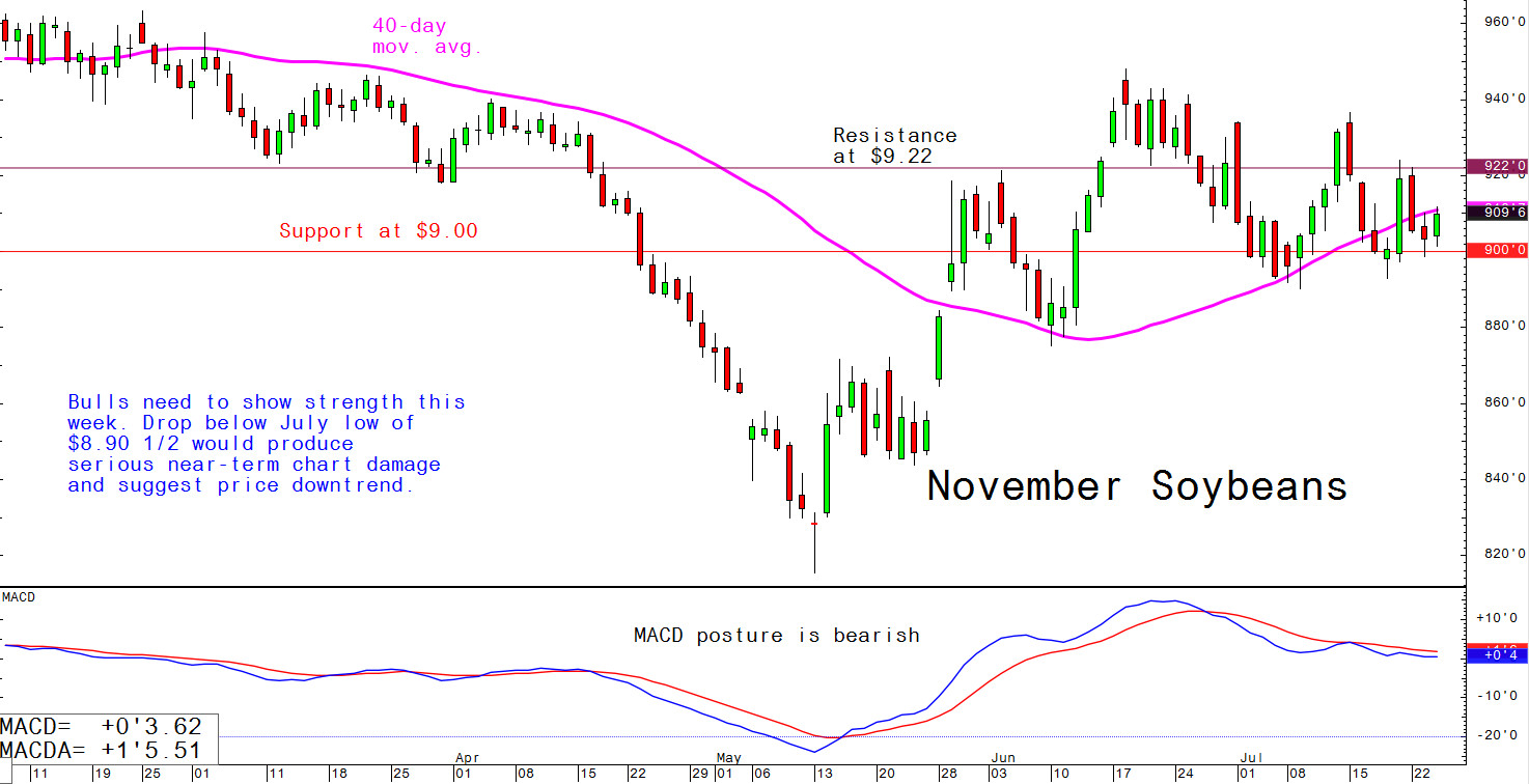 Bulls need to show strength this week. Drop below July low of $8.90 1/2 would produce serious near-term chart damage and suggest price downtrend