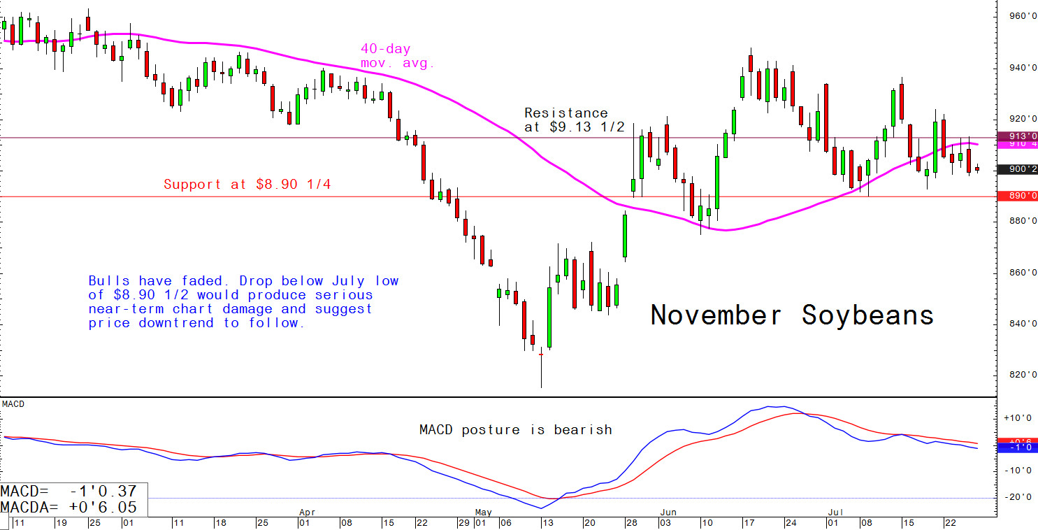 Bulls have faded. Drop below July low of $8.90 1/2 would produce serious near-term chart damage and suggest price downtrend to follow