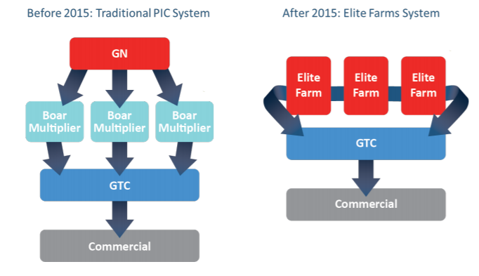 PIC shifts from traditional genetic nucleus system to an Elite Farm system