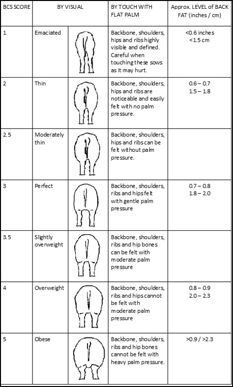 Table 1