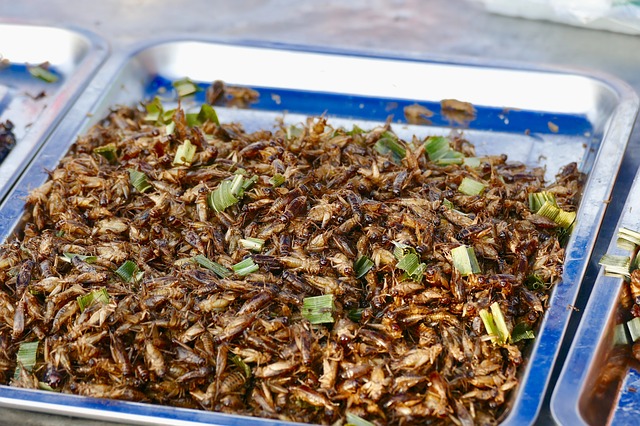“Our goal is simply to give insects back their natural place in the food chain,” says Antoine Hubert, Ÿnsect CEO and Chairman.