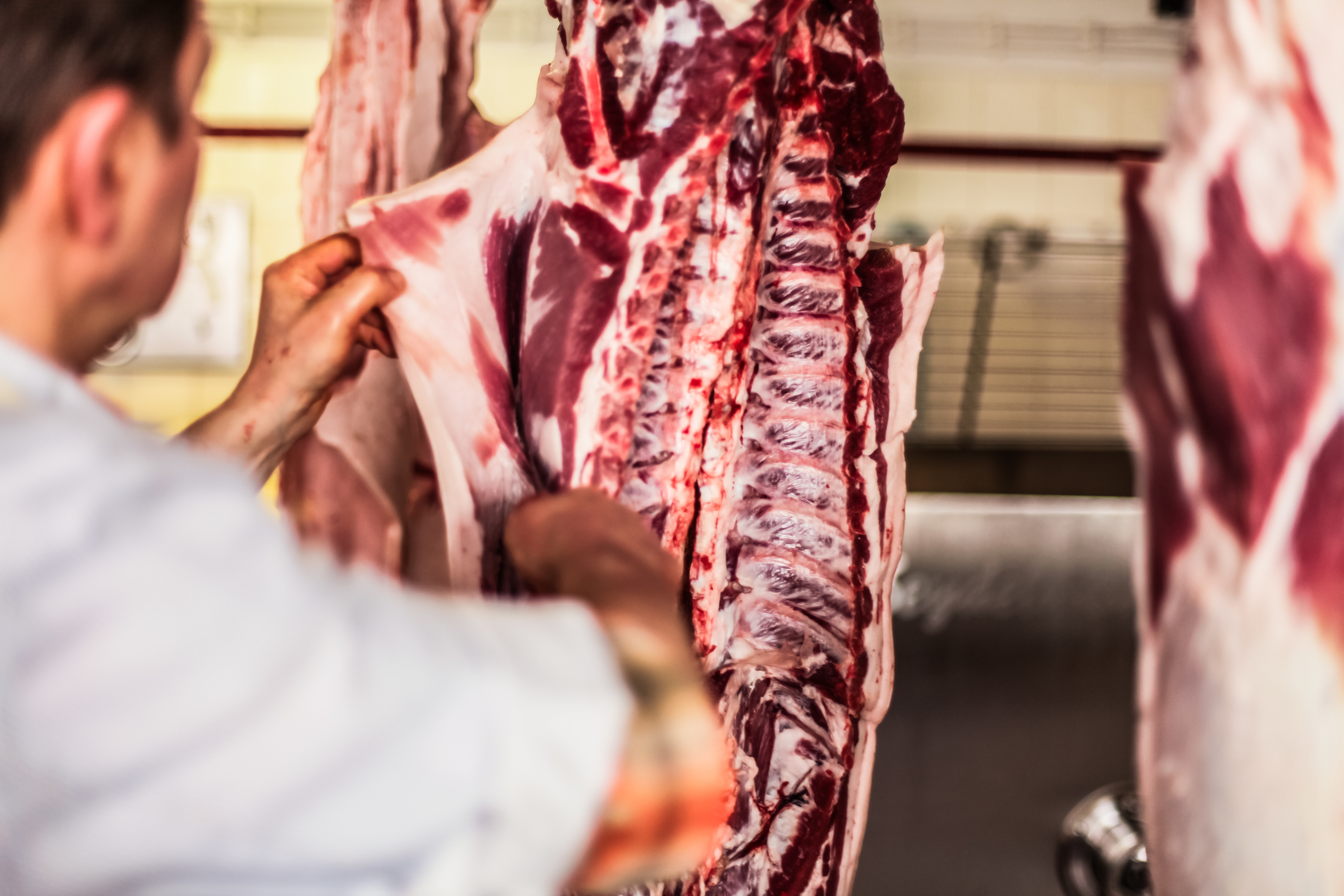 man cuts the fat off a pig carcass whilst butchering